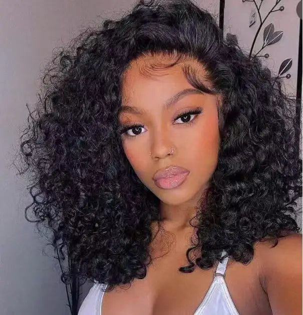 Brazilian Virgin Hair Wig 250% High Density Full Lace Front Human Wig HD Lace Color Water Style Raw Kinky Curly
