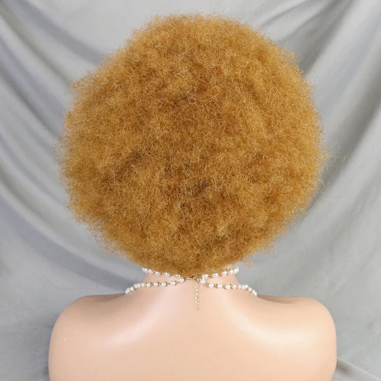 Afro Kinky Curly Brazilian Human Hair Wear Go Pre-Plucked Short Kinky Straight