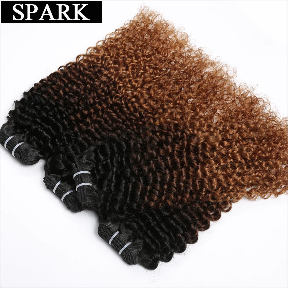 Afro Kinky Curly Human Hair Bundles - Ombre Brazilian Weave