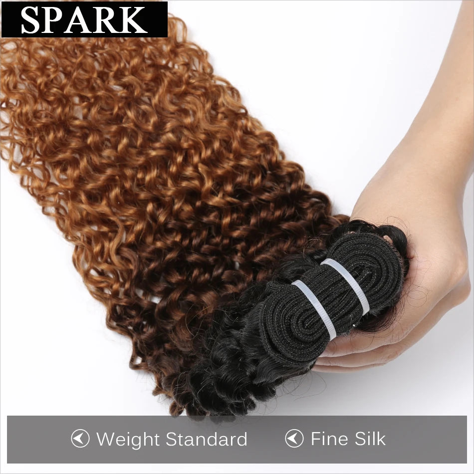 Afro Kinky Curly Human Hair Bundles - Ombre Brazilian Weave