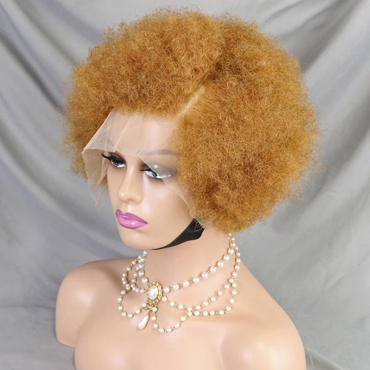 Afro Kinky Curly Brazilian Human Hair Wear Go Pre-Plucked Short Kinky Straight