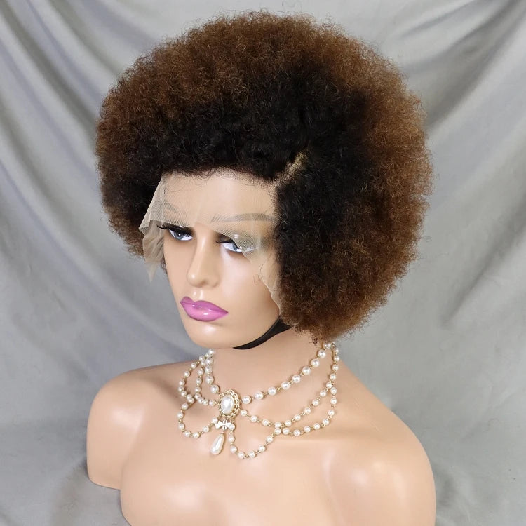 Afro Kinky Curly Brazilian Human Hair Wear Go Pre-Plucked Short Kinky Straight