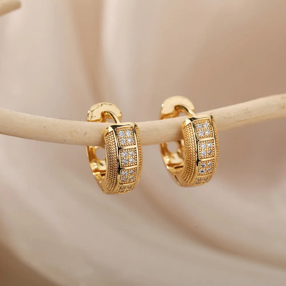 Cubic Zirconia Hoops for Women  Trend Jewelry
