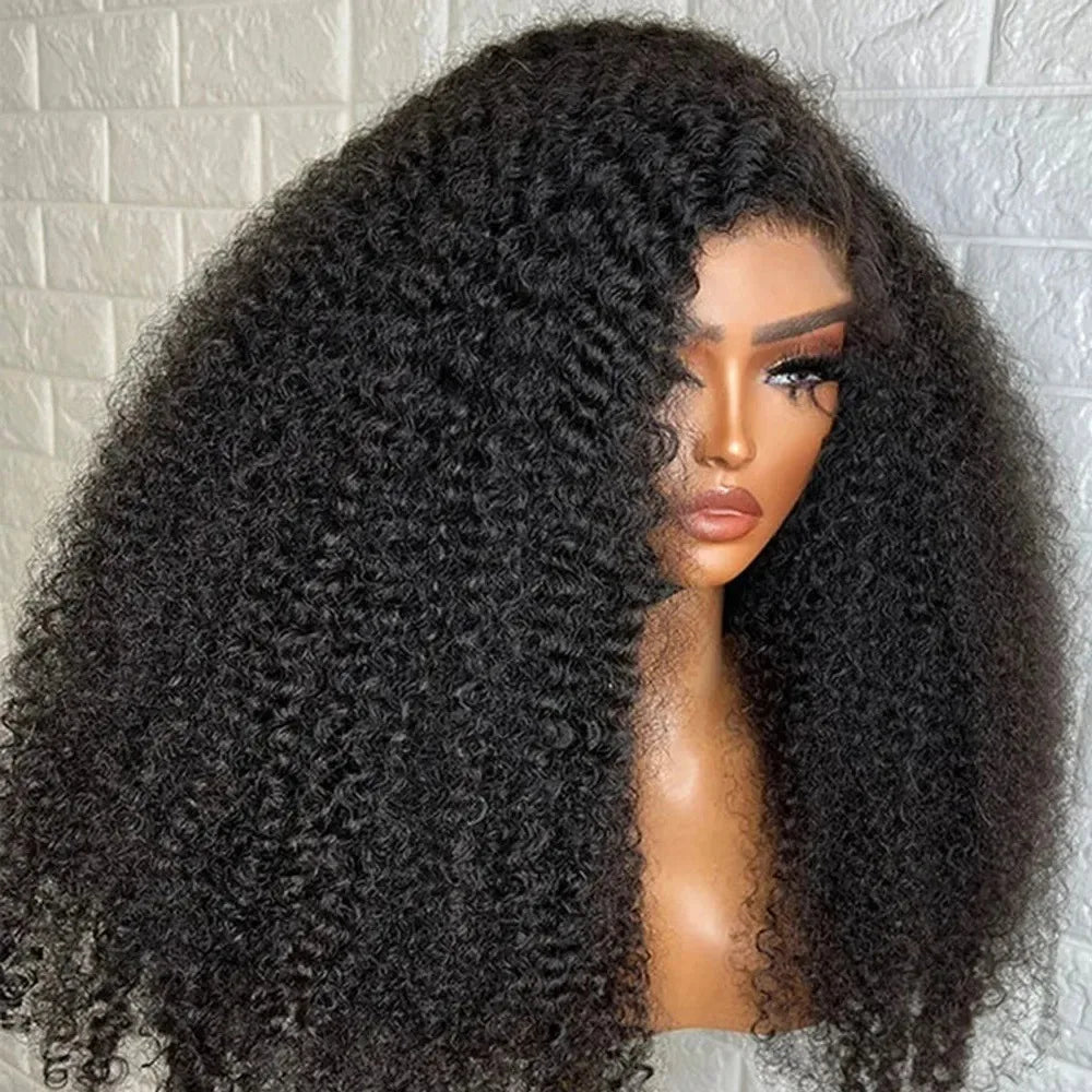 Bob Human Hair Wig Human Hair Lace Front Kinky Curly Wigs for Black Women Raw Vietnamese Hair HD Lace Frontal Wigs