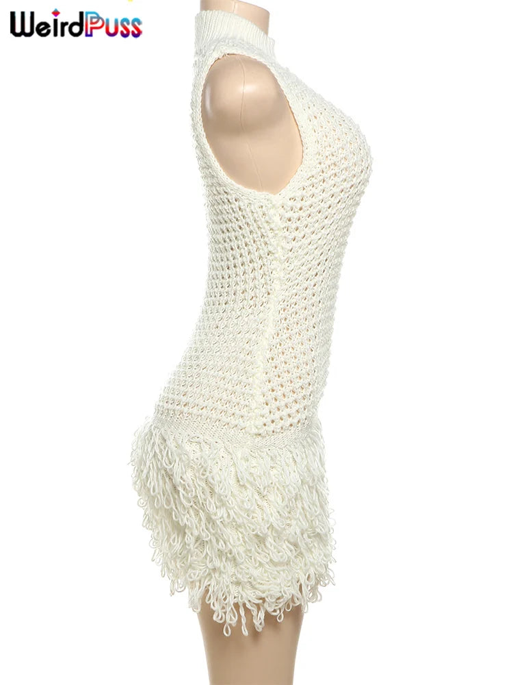 Weird Puss Crochet Dress Women Sexy Chic Y2K Summer Trend Tassel Hem Sleeveless Stretch Fashion Beach Vacation Clubwear Bodycon