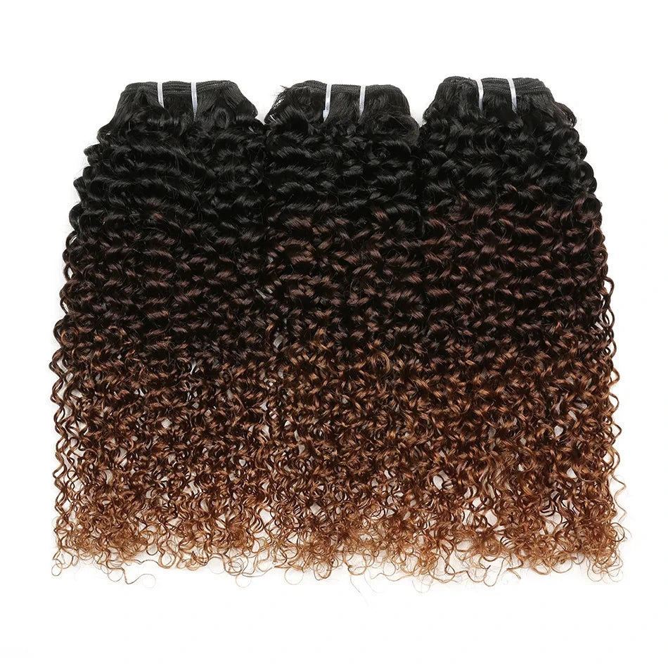 Afro Kinky Curly Human Hair Bundles - Ombre Brazilian Weave