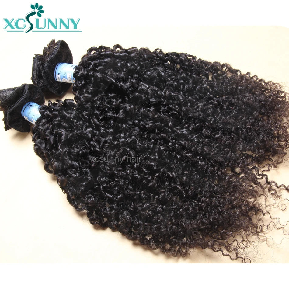 Kinky Curly Clip In Hair Extensions Human Hair Burmese Seamless PU Clip Ins Human Hair Kinky Curly For Black Women